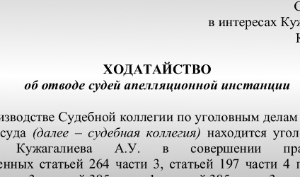 Ходатайство об отводе судей апелляционной инстанции - PDF документ